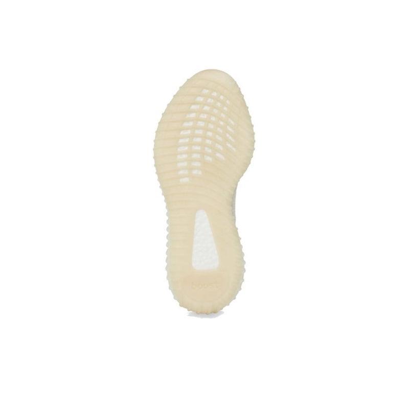 Yeezy Boost 350 V2 &