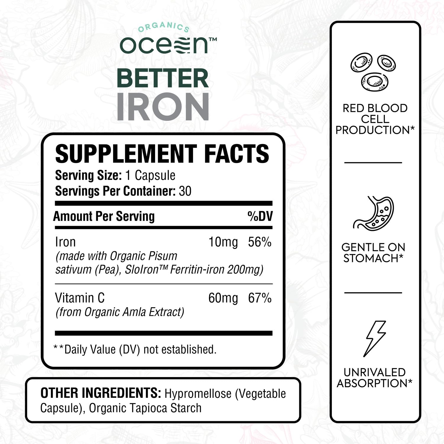 Ocean Methyl Folat - 30 Tablet Folic Acid Supplement