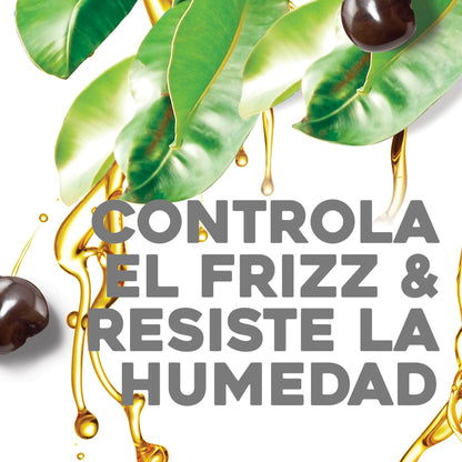 Organix Moisturizing Shampoo with Kukui Oil - Anti-frizz, Natural Hair Care for Dry &amp; Frizzy Hair