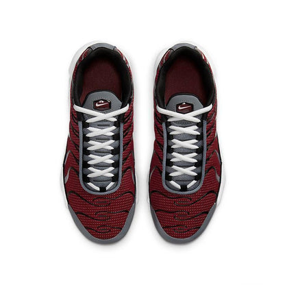 Nike Air Max Plus &