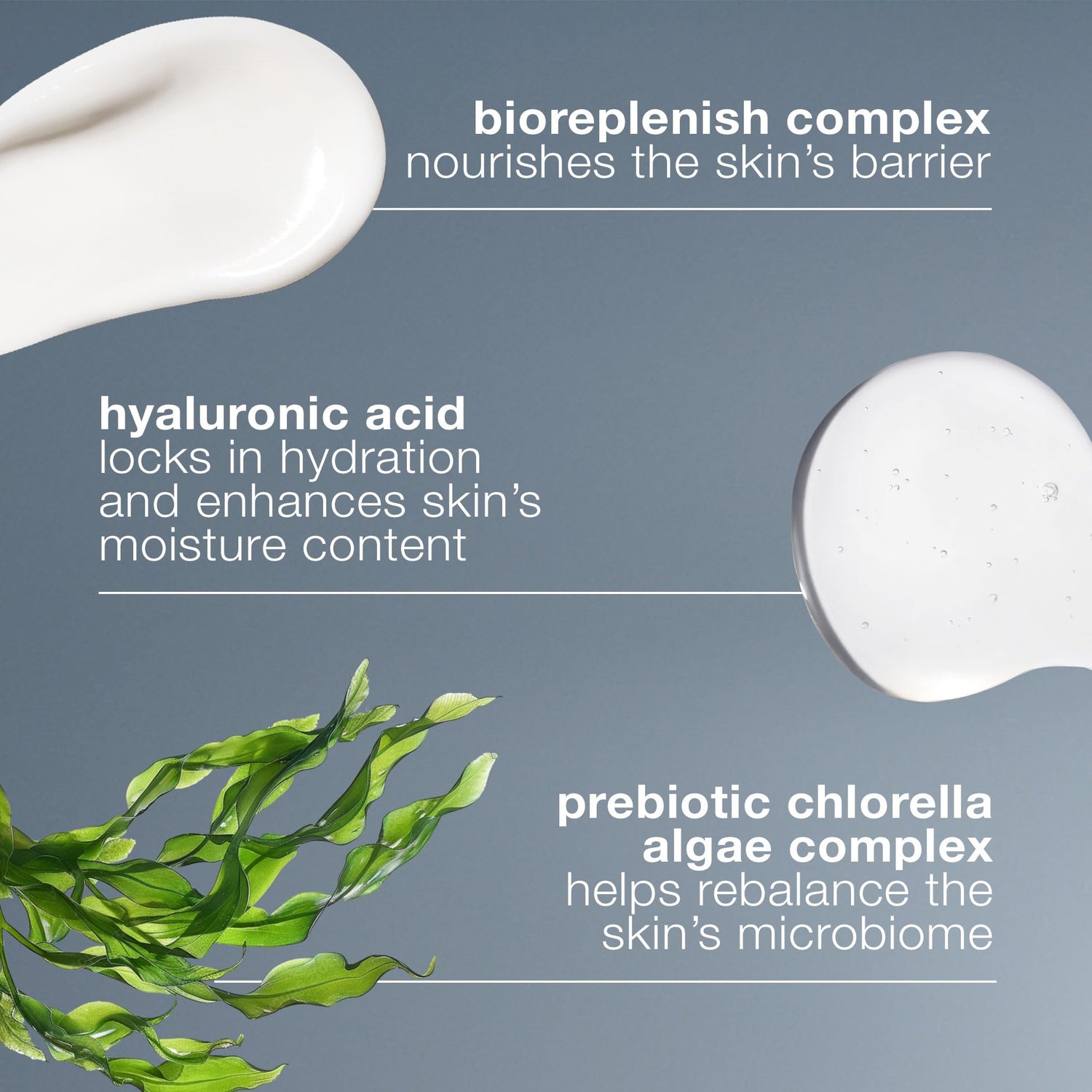 Dermalogica Intensive Moisture Balance Moisturizer for Dry Skin - Natural Skincare with Hyaluronic Acid &amp; Prebiotic Complex