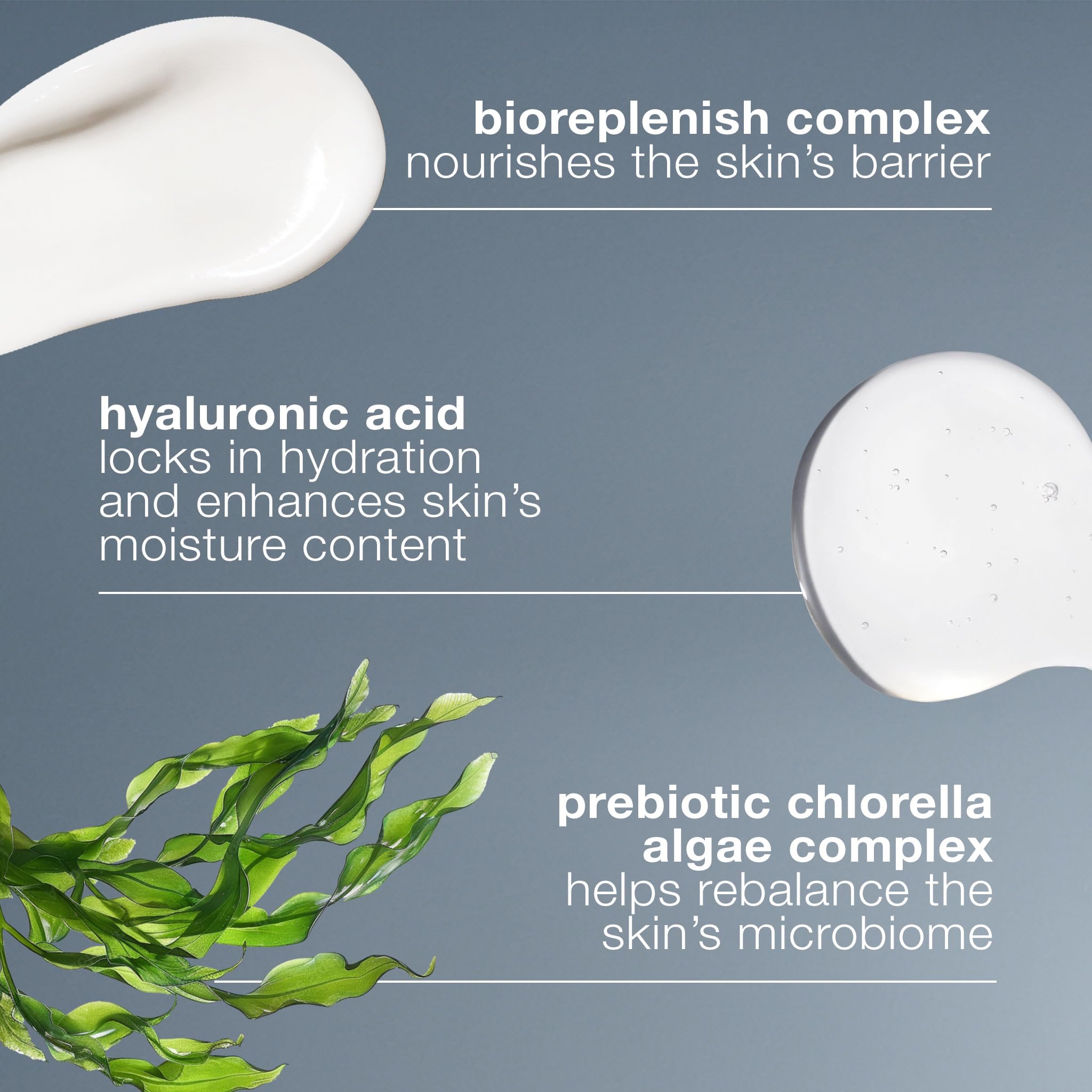 Dermalogica Intensive Moisture Balance Moisturizer for Dry Skin - Hydrating Skincare with Antioxidants &amp; Natural Ingredients
