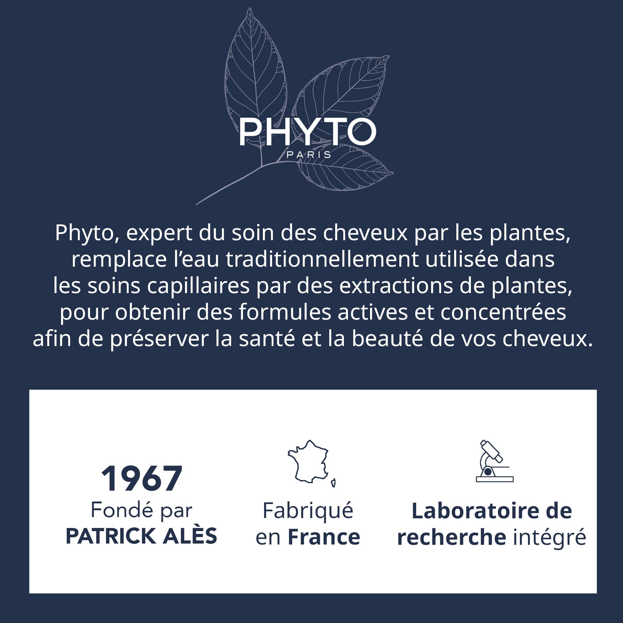 Phyto Volumizing Conditioner - Sulfate-Free, Silicone-Free, Vegan Hair Care for Fine Hair