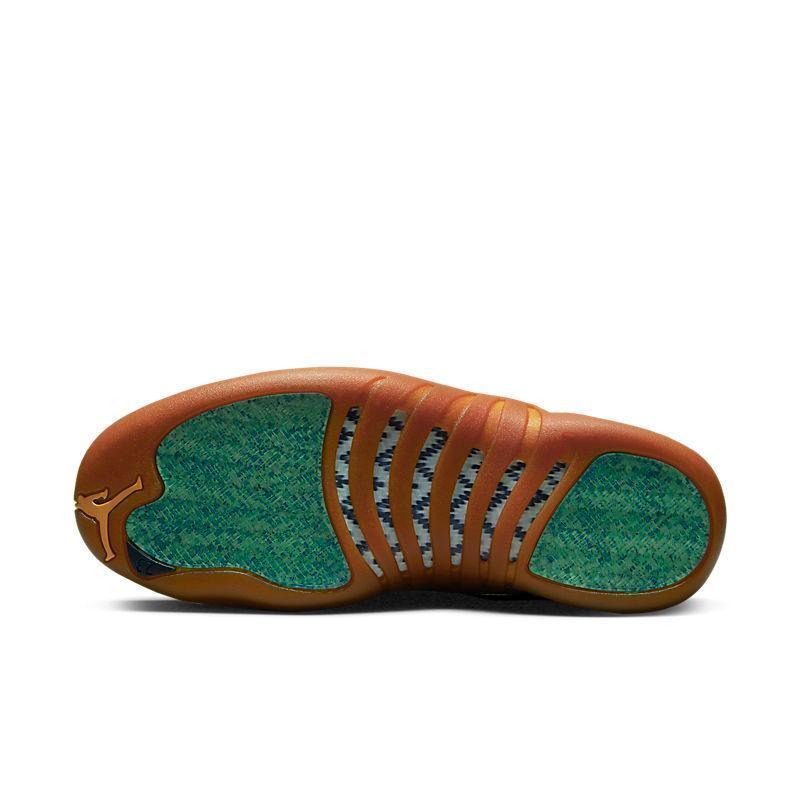 Air Jordan Retro 12 &