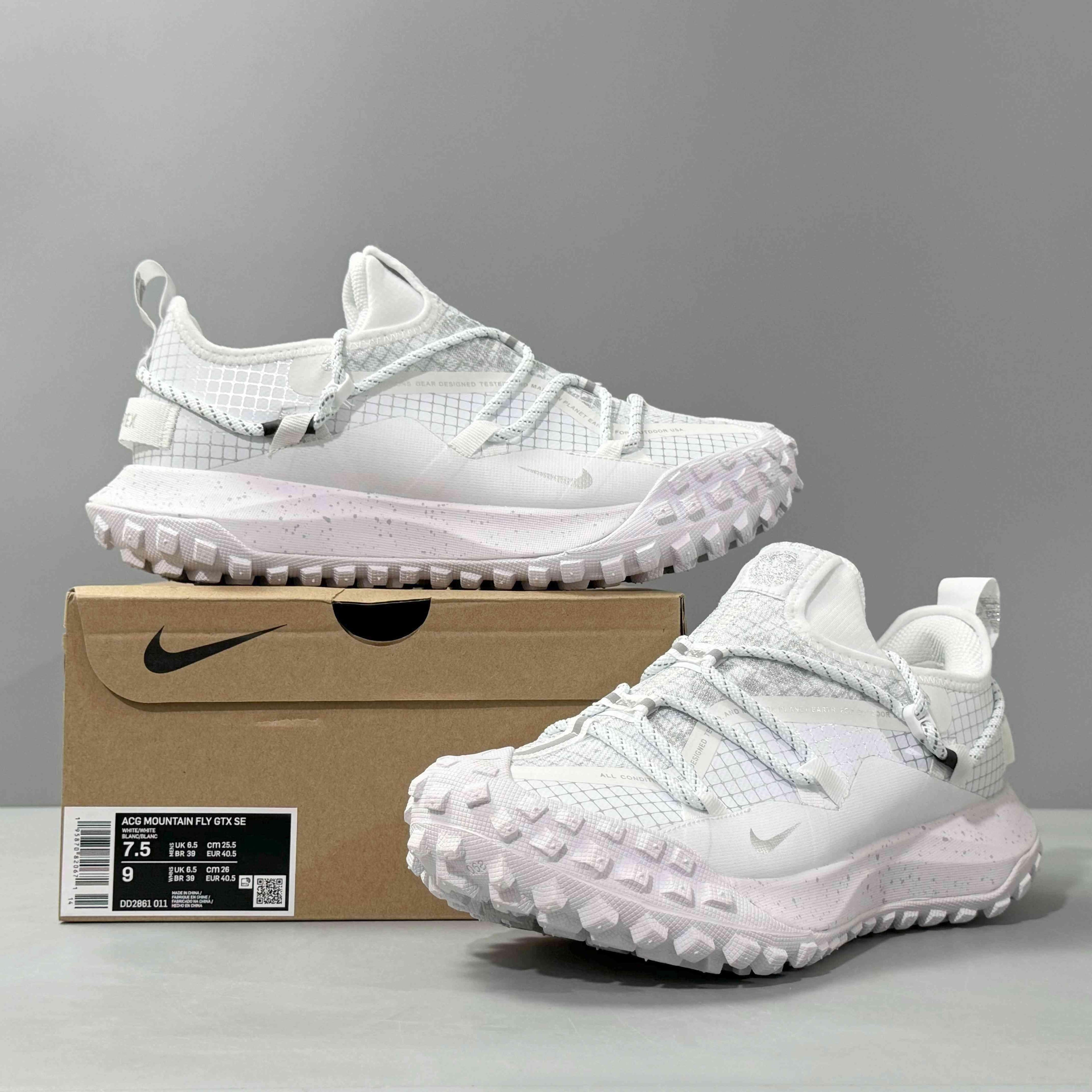 Nike ACG Mountain Fly Low Gore-Tex SE &