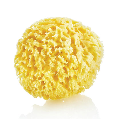 Babyjem Natural Sea Sponge for Gentle Baby Skin Care - Hypoallergenic &amp; Organic Bathing Solution