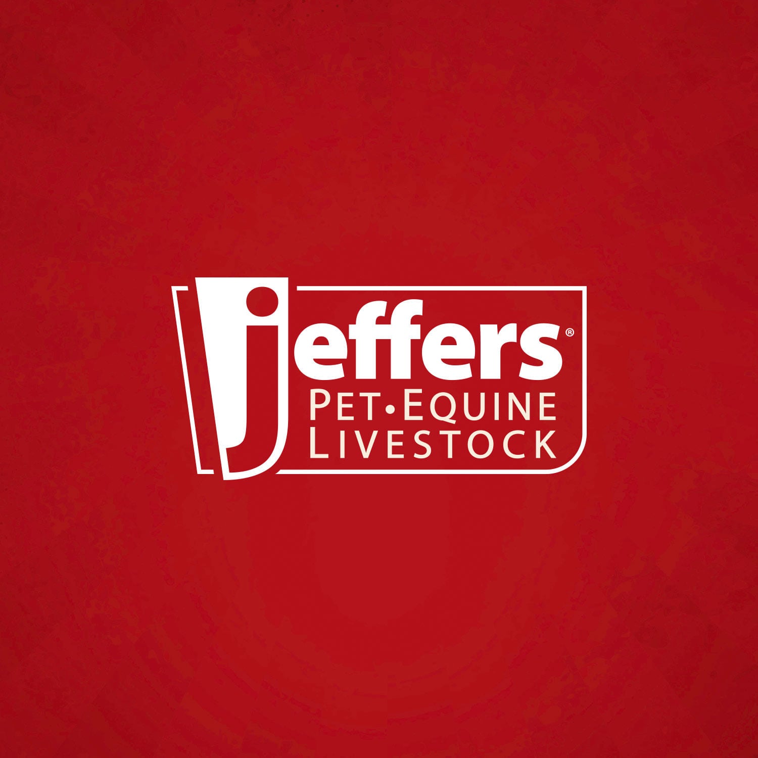 Jeffers Heavy Weight Stainless Steel Pet Bowls – Durable Pet Food &amp; Water Dish, Chew-Resistant, Dishwasher Safe