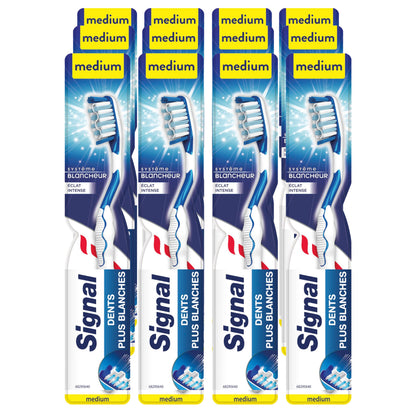 Signal White Now Toothbrush, 1+1 Free Medium Bristle Oral Hygiene for Whiter Teeth - Signal