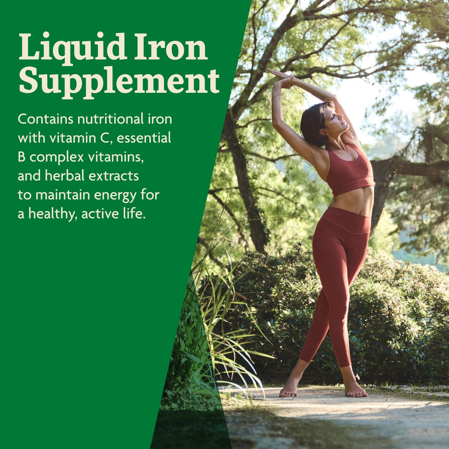 Floradix Liquid Iron Supplement - Vitamins &amp; Minerals | 8.45 fl oz