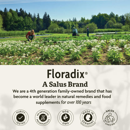 Floradix Liquid Dietary Supplement - Natural Iron &amp; Vitamin Supplement for Adults &amp; Children, Gluten-Free, 8.45 fl oz