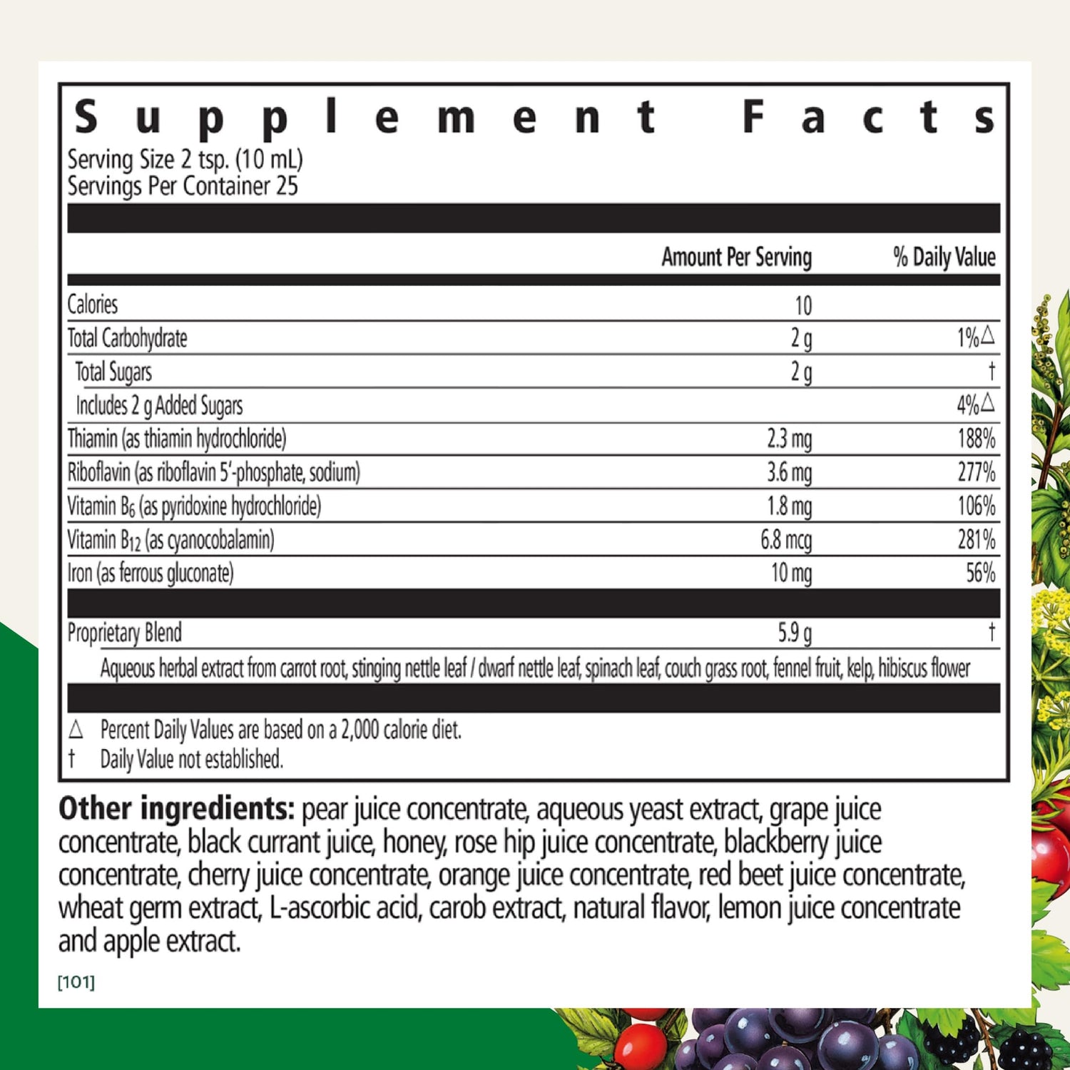 Floradix Liquid Iron Supplement - Vitamins &amp; Minerals | 8.45 fl oz