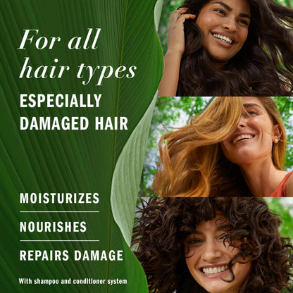 Herbal Essences Repairing Argan Oil Hair Conditioner 8.5oz | Moisturizing Formula
