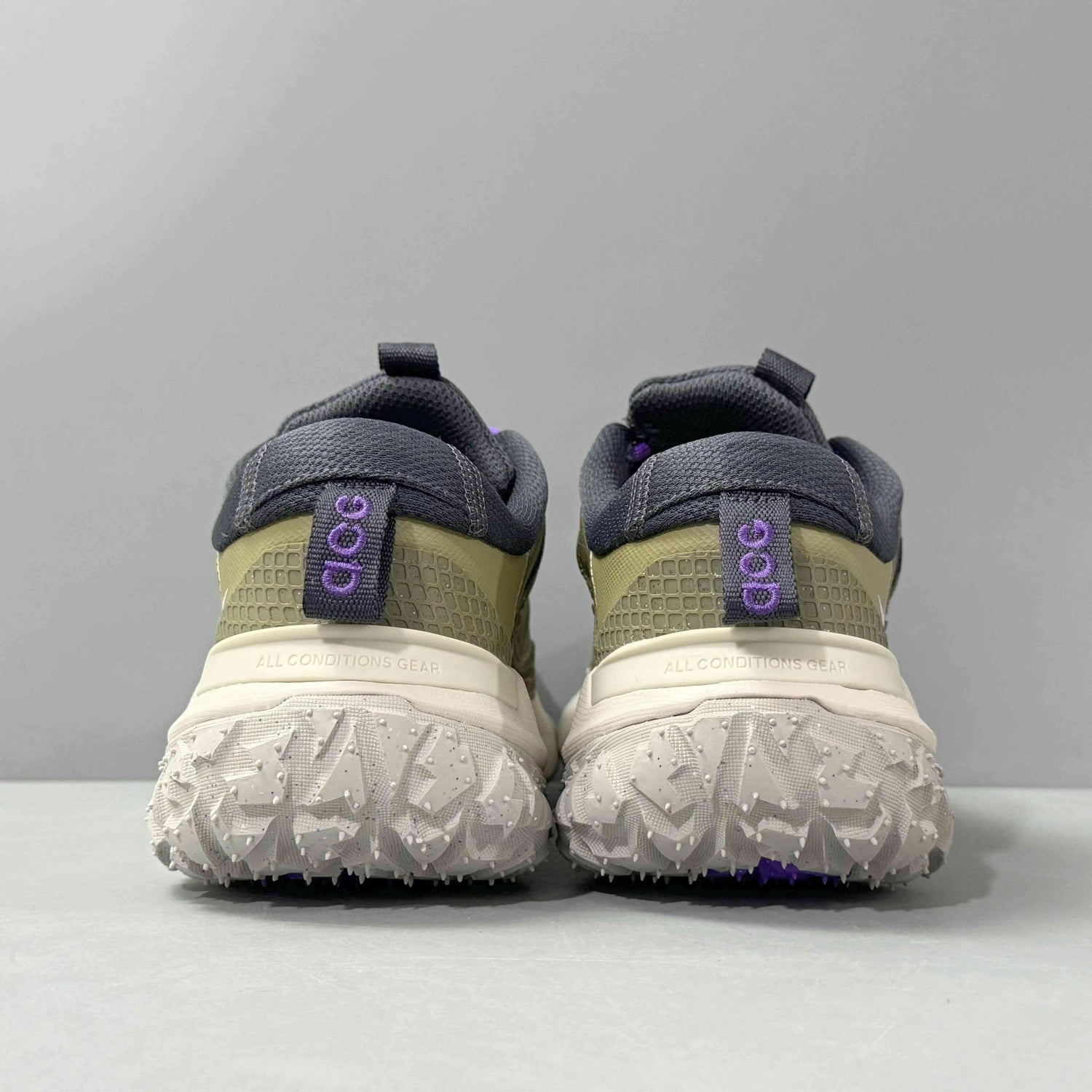 Nike ACG Mountain Fly 2 Low &