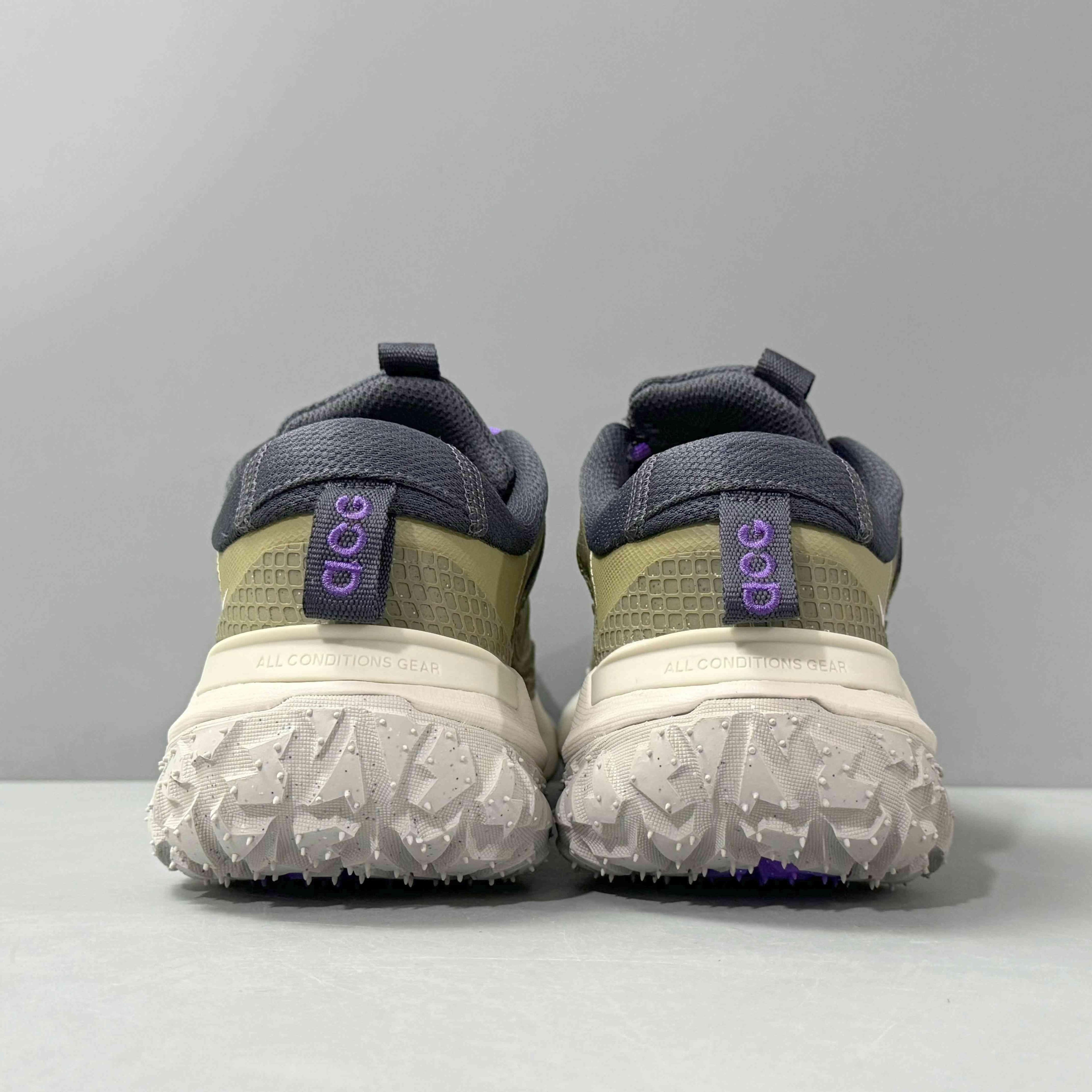 Nike ACG Mountain Fly 2 Low &