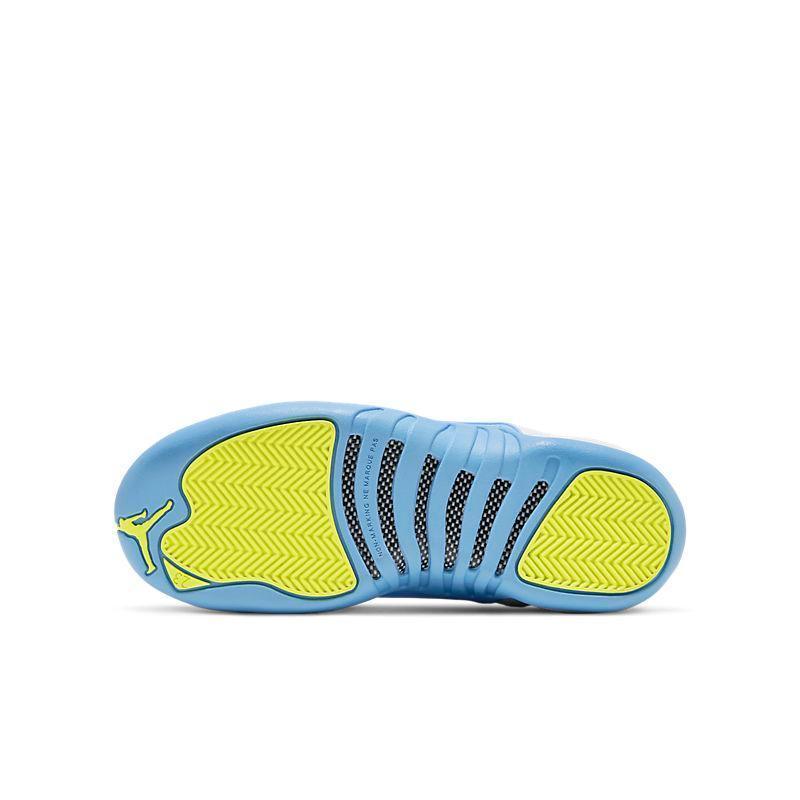 Air Jordan Retro 12 &