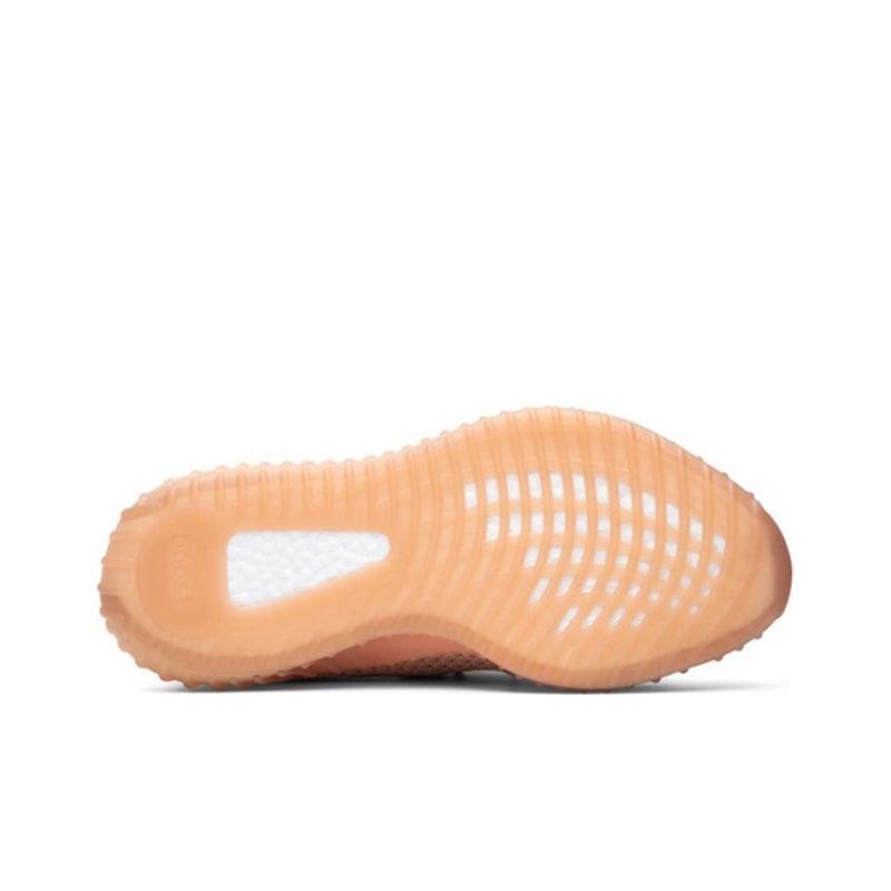Yeezy Boost 350 V2 &