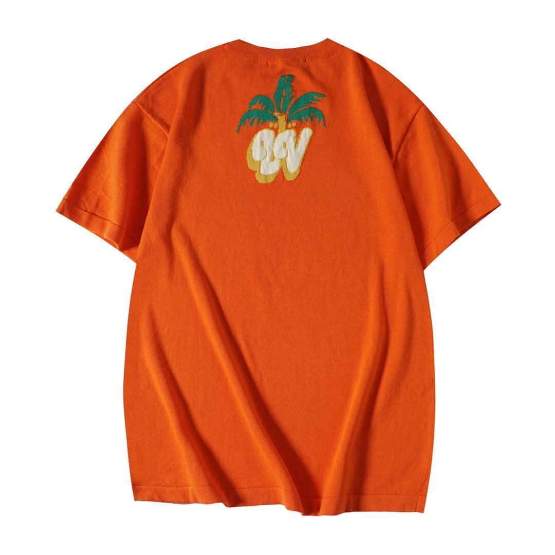 Louis Vuitton T-Shirt Without Collar &