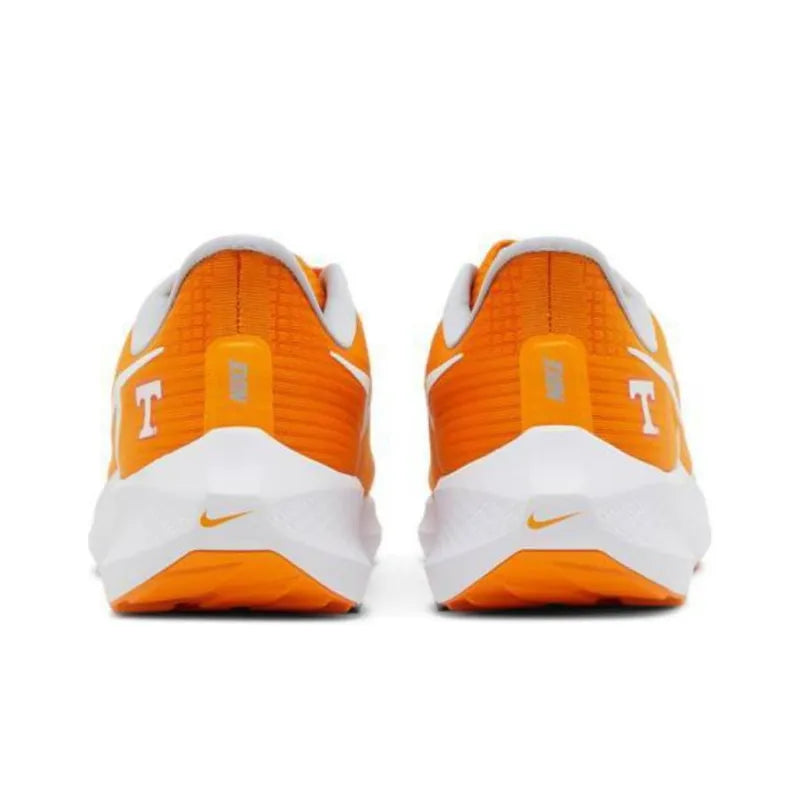 Nike Air Zoom Pegasus 39 &
