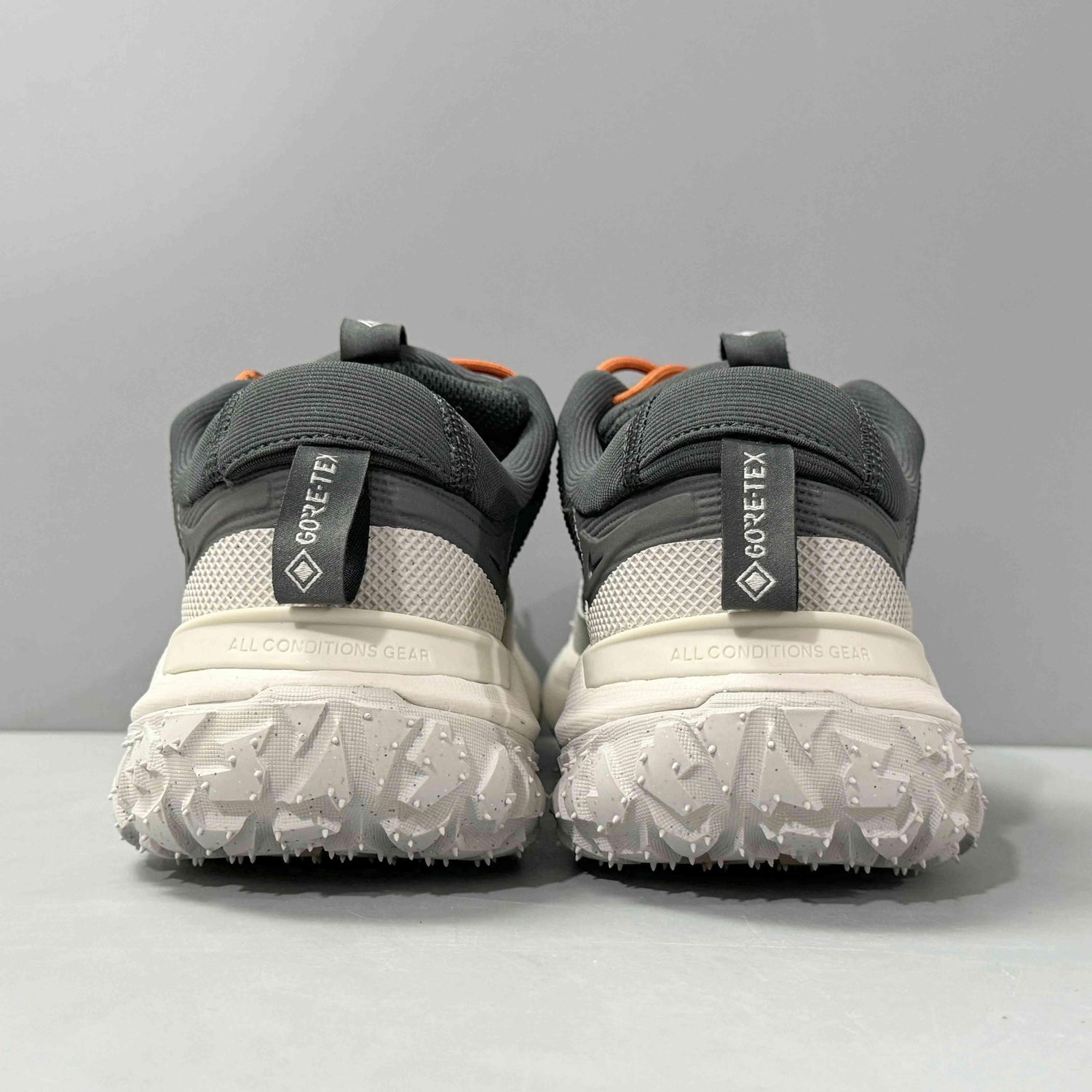 Nike ACG Mountain Fly 2 Low Gore-Tex &
