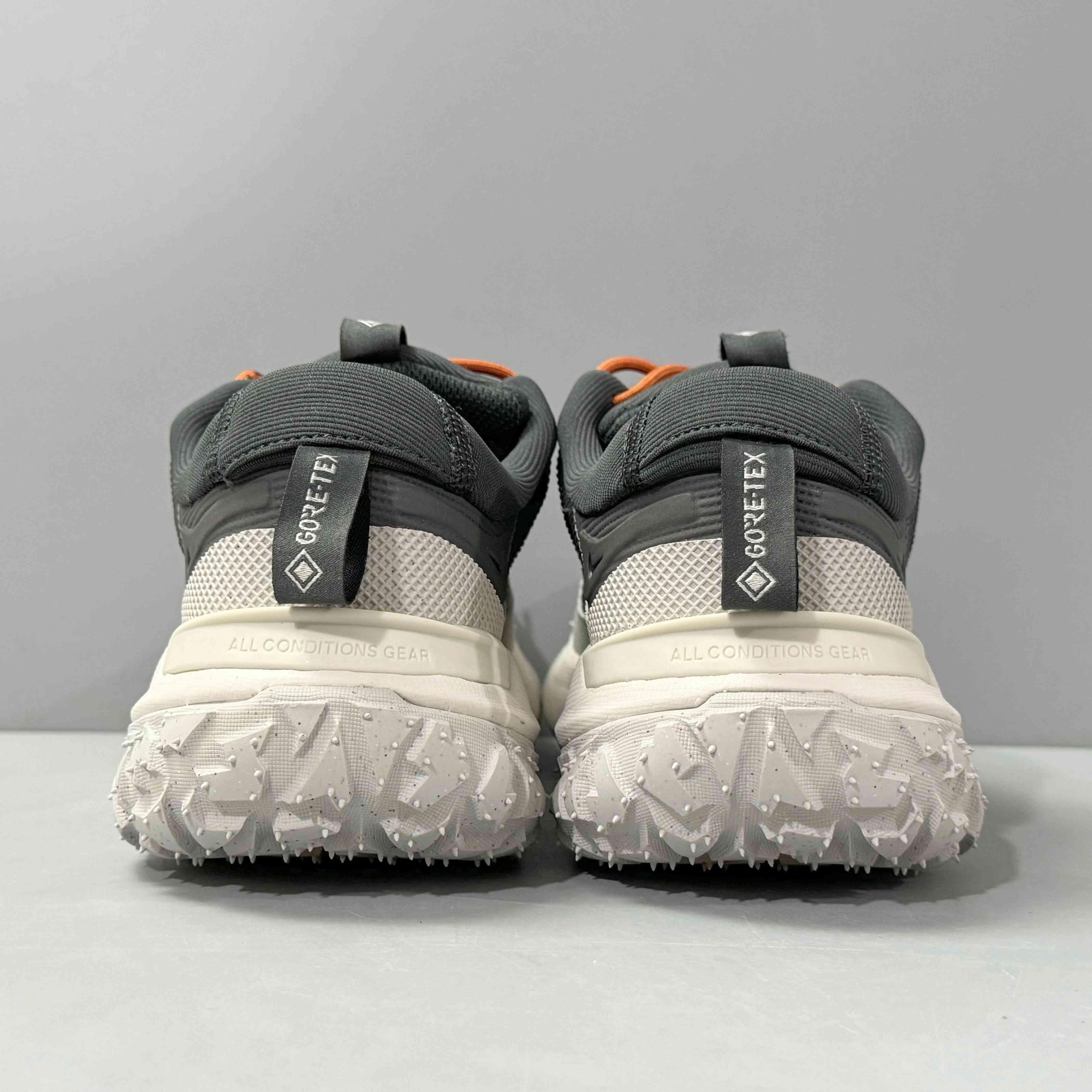 Nike ACG Mountain Fly 2 Low Gore-Tex &