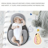 Baby Anti-Spit Up Pillow SHOPEZRA L.L.C.