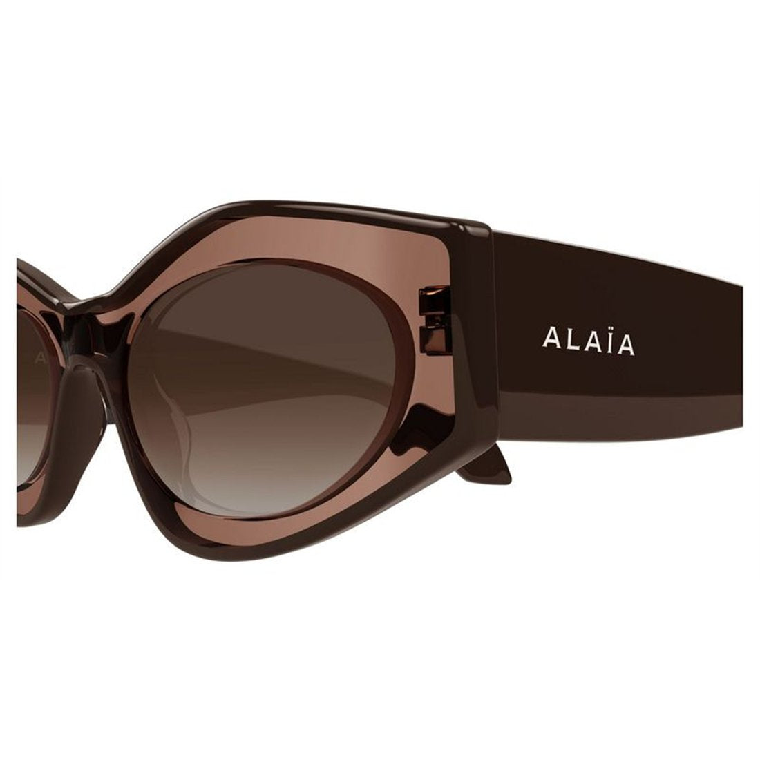 ALAIA Elegant Women’s Sunglasses - Stylish Oversized Frame