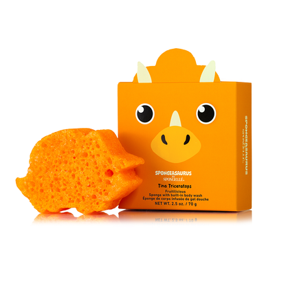 Sally Stegosaurus &amp; Tina Triceratops Dinosaur Set