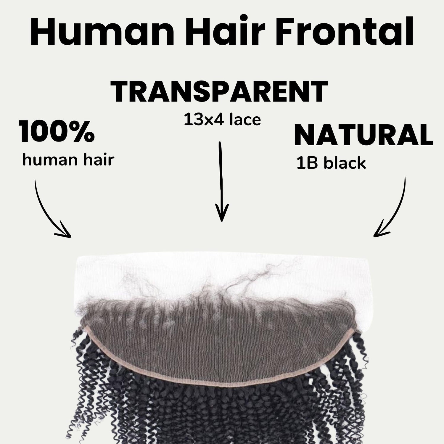Afro Kinky Curly 13x4 Transparent Lace Human Hair Frontal