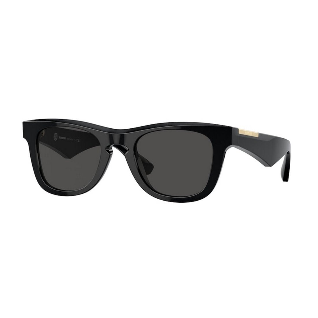 BURBERRY Stylish Men&