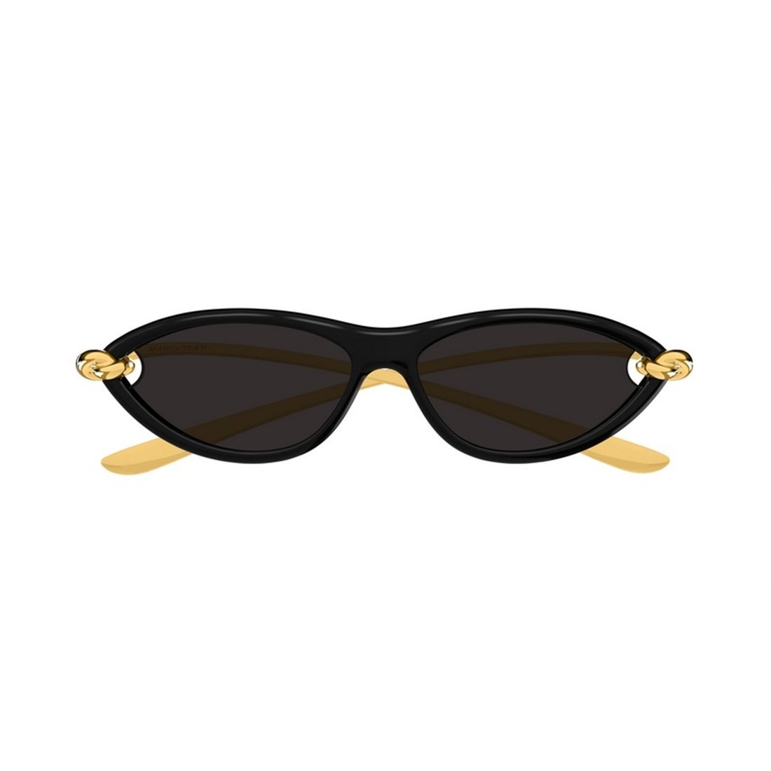 BOTTEGA VENETA Injected Fashion Sunglasses for Women