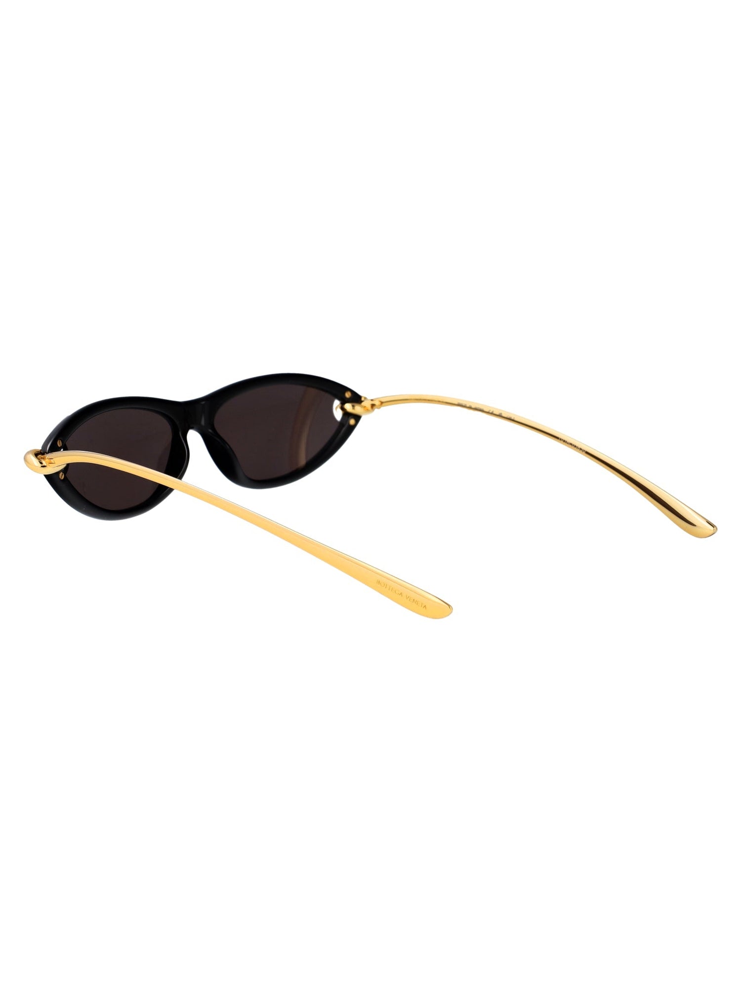 BOTTEGA VENETA Injected Fashion Sunglasses for Women