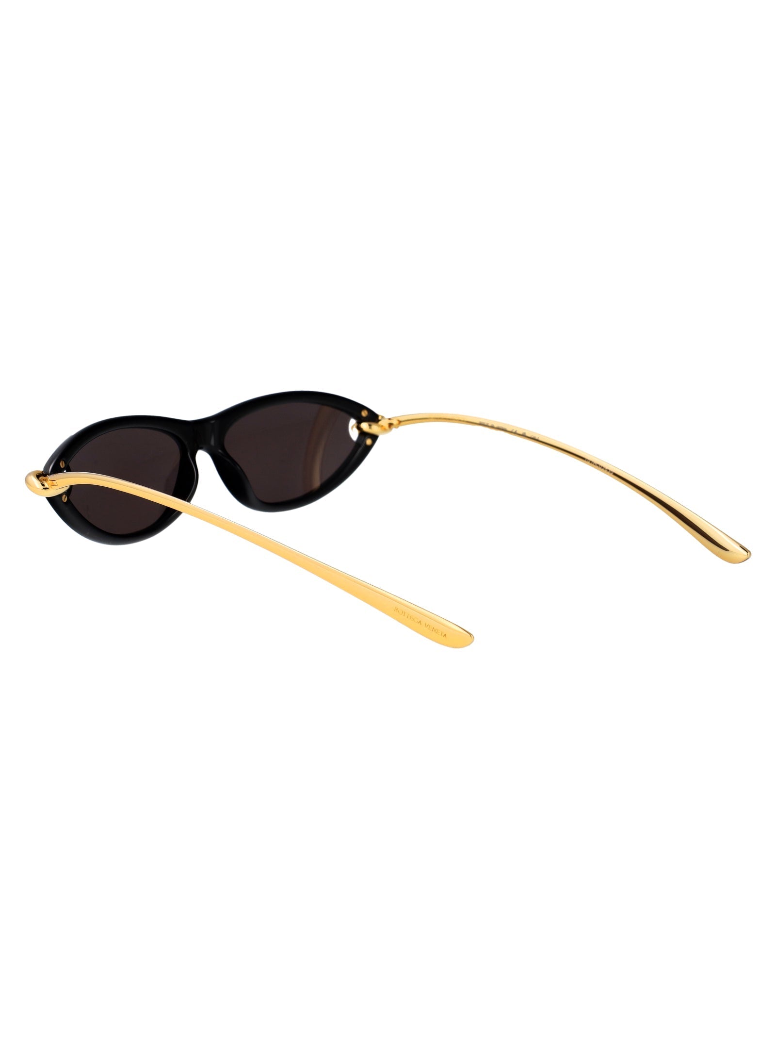 BOTTEGA VENETA Injected Fashion Sunglasses for Women