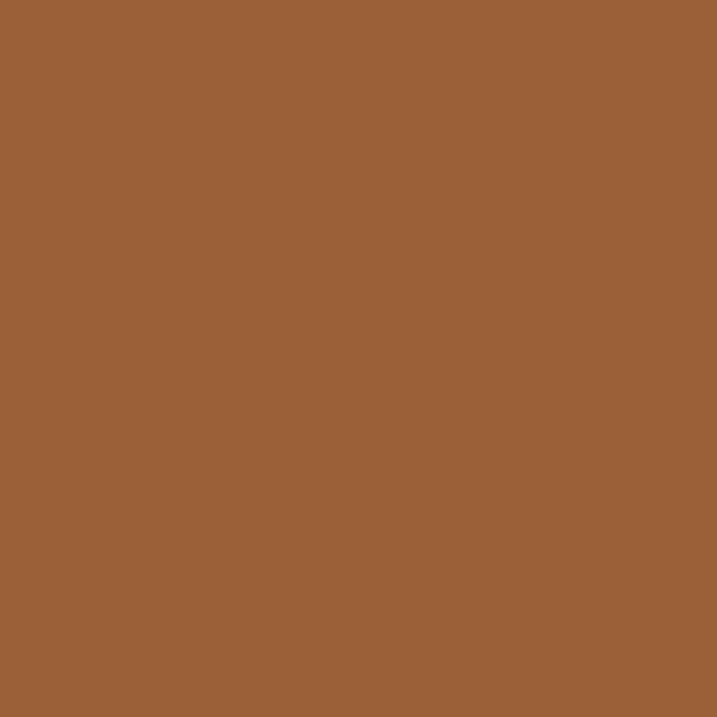 Sheglam Buttery Buff C&amp;B Stick Blush in 10 Warm Honey