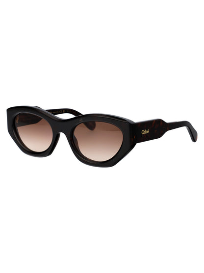 CHLOÉ Chic Acetate Sunglasses for Women - FW25 Collection