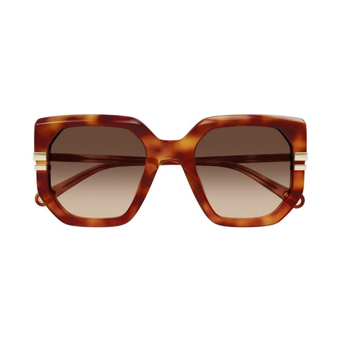CHLOÉ Chic Women’s Sunglasses - Carryover Style