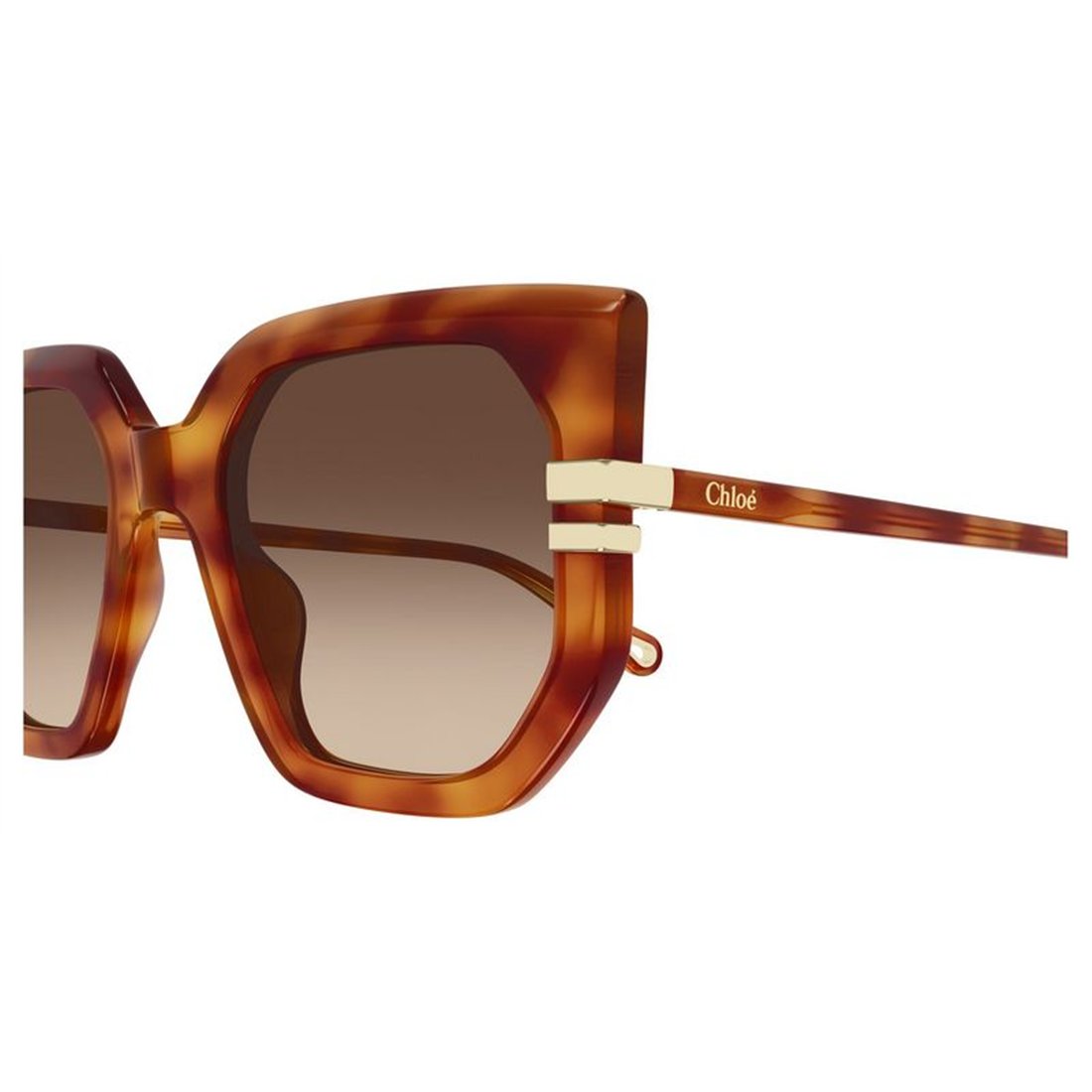 CHLOÉ Chic Women’s Sunglasses - Carryover Style