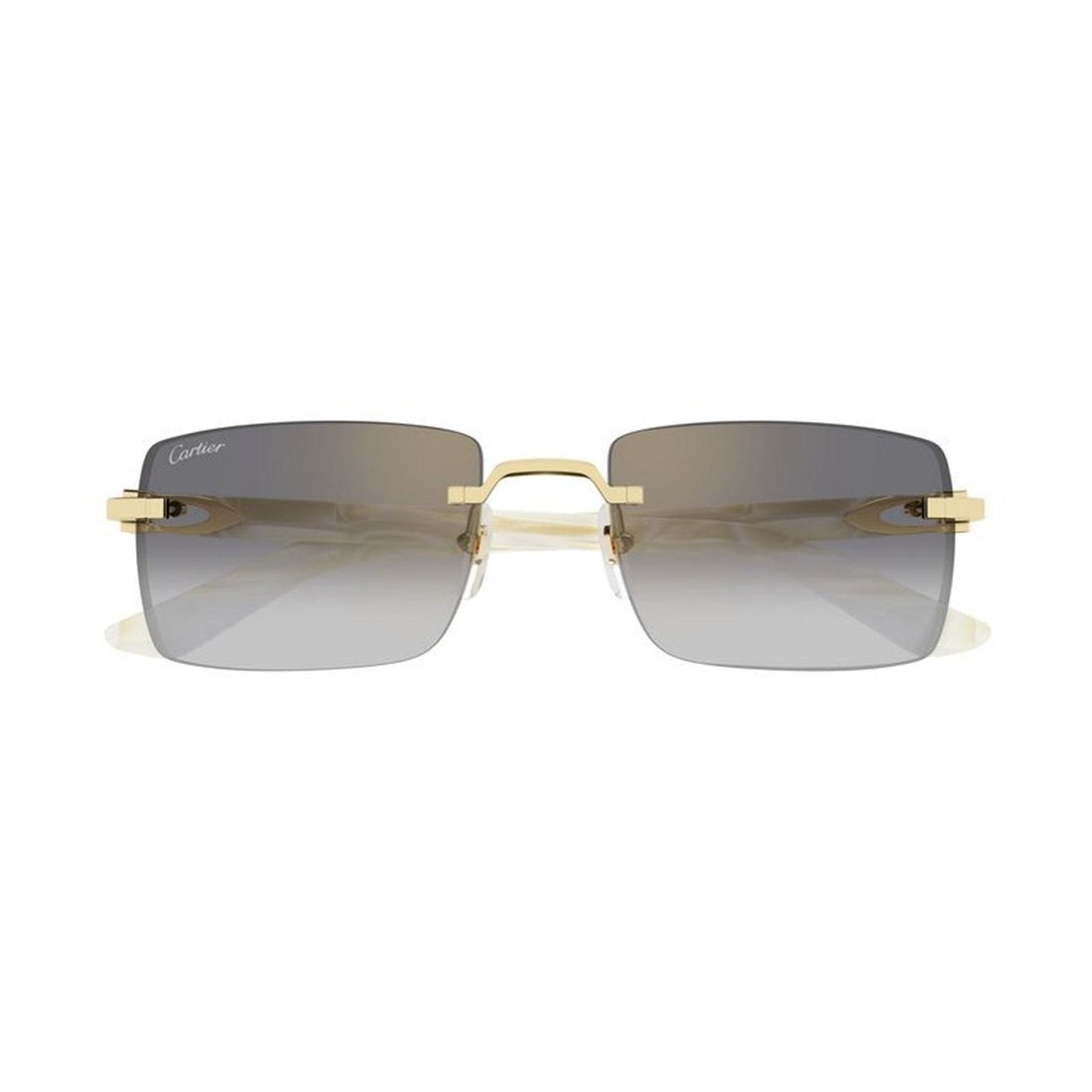 CARTIER CT0579S Mini Designer Sunglasses for Men