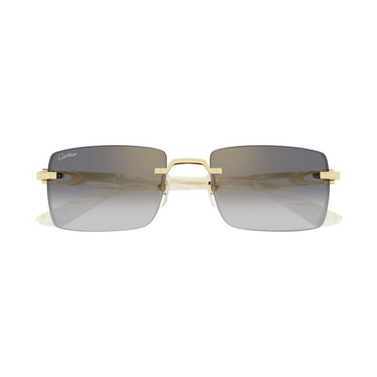 CARTIER CT0579S Mini Designer Sunglasses for Men