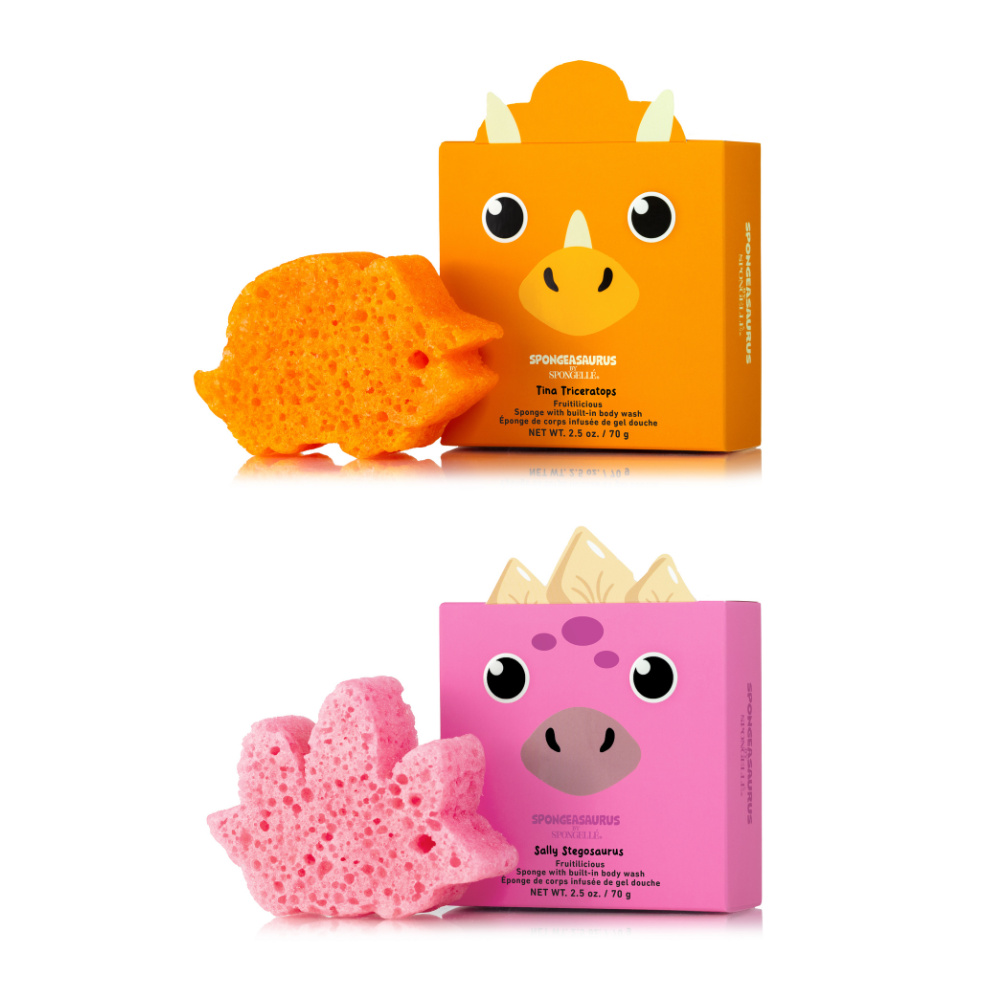 Sally Stegosaurus &amp; Tina Triceratops Dinosaur Set