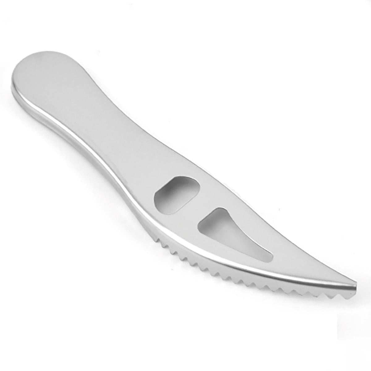 Lia Fish Scaler BPS-19 - Easy Scale Removal Kitchen Tool
