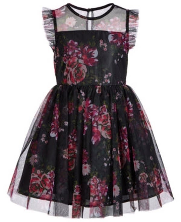 Pink &amp; Violet Little Girls Printed Mesh Dress, Size 5