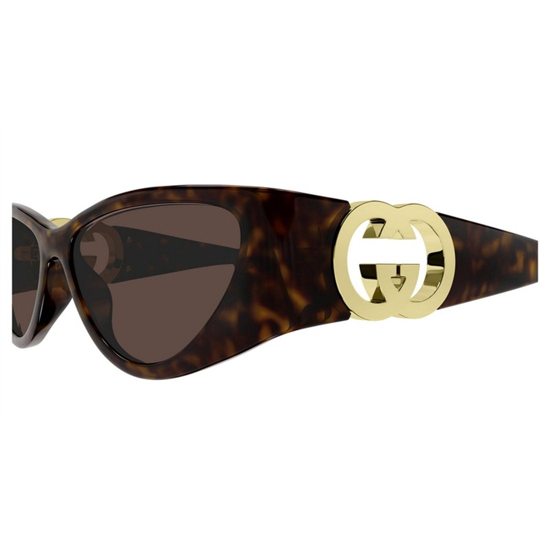 GUCCI Chic Acetate Women’s Sunglasses