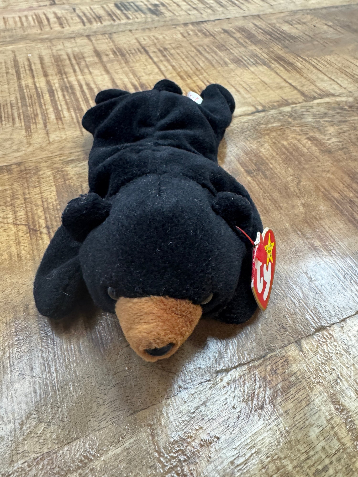 Ty Beanie Baby Blackie the Bear Ultra Rare, PVC Pellets, Major Tag Errors, Mint