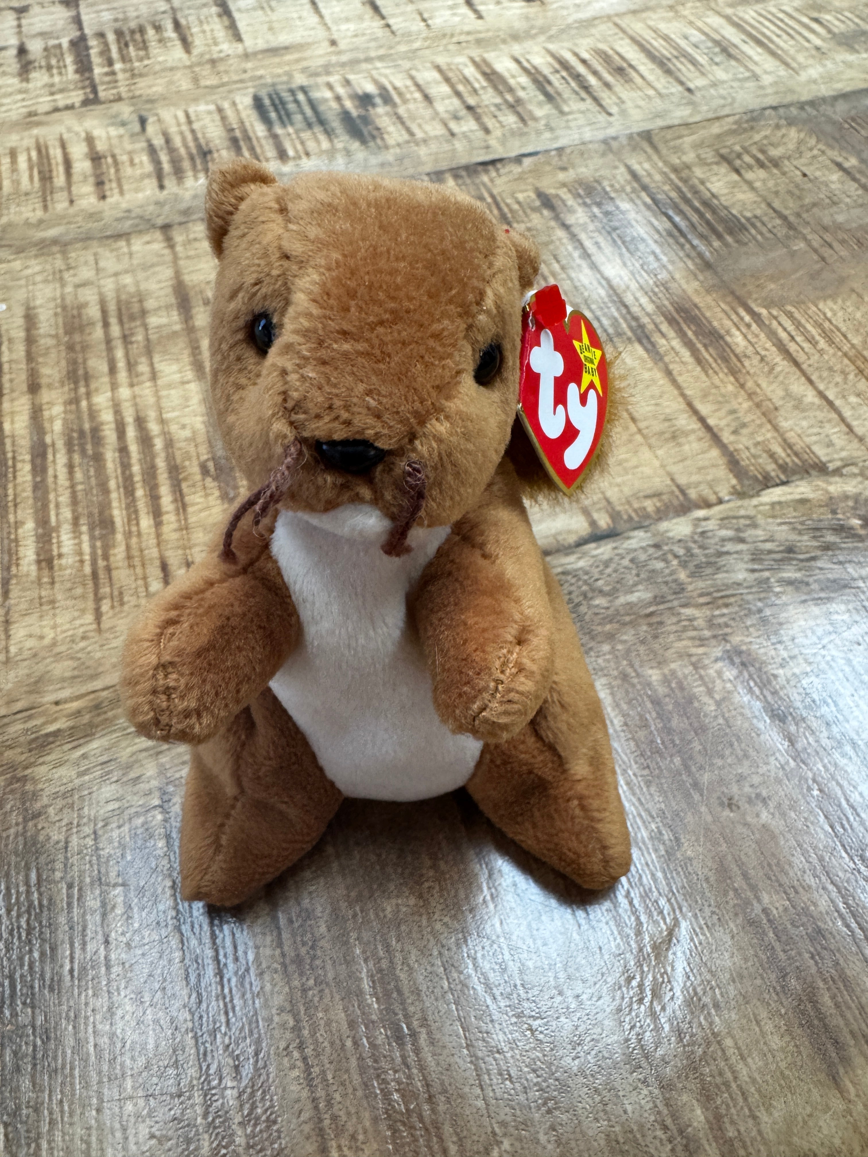 Nuts the Squirrel Beanie Baby ERRORS 9+ VERY RARE Retired 4114 TY 1996 PVC