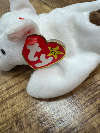 Ty Beanie Baby Retired Butch the Dog TAG ERRORS / Misspelling 1998 / 1999 RARE