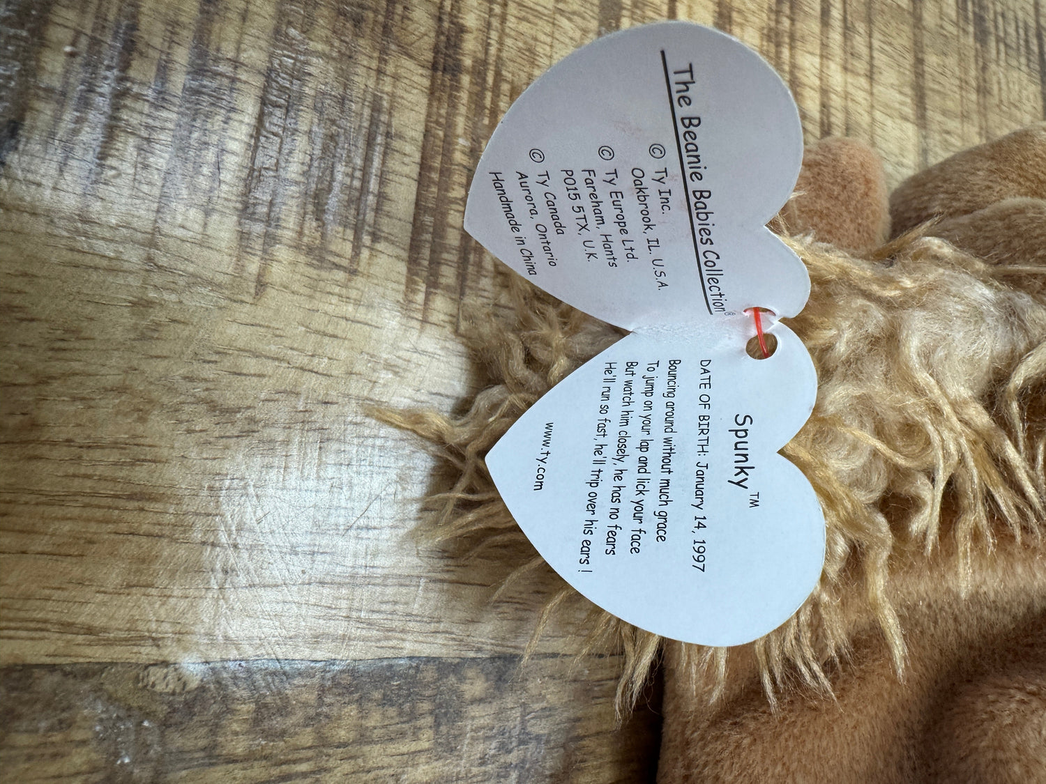 Ty Beanie Baby Spunky The Cocker Spaniel 1997 Retired With Tag Errors, Pellets