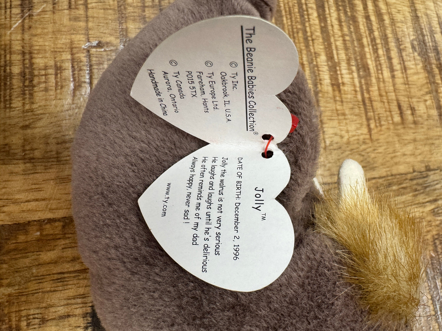 RARE VINTAGE TY Beanie Baby Jolly The Walrus Retired 1996 With Errors