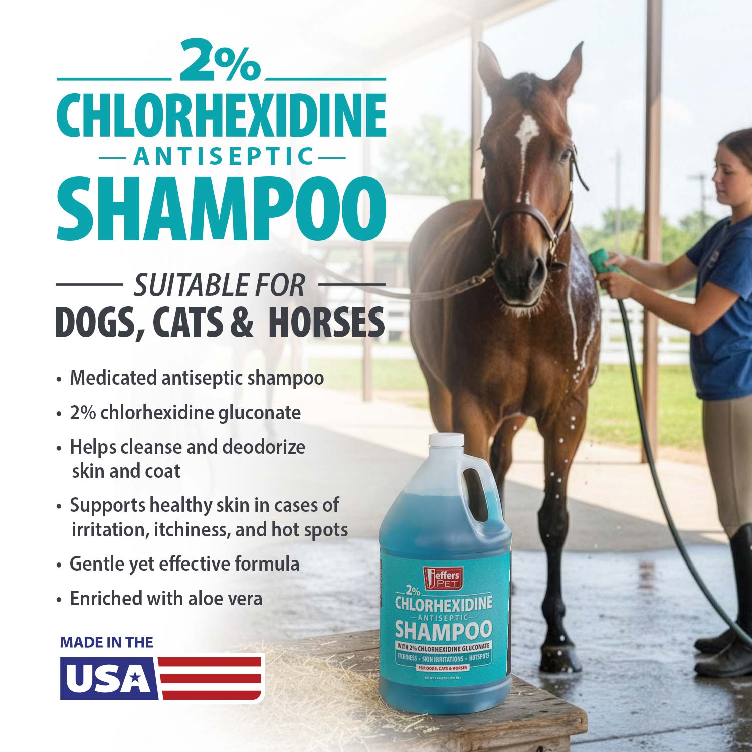 Jeffers Medicated 2% Chlorhexidine Shampoo for Dogs, Cats &amp; Horses