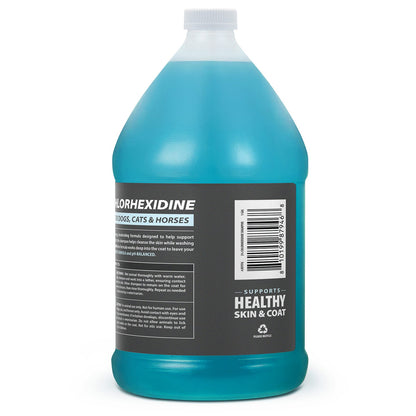 Jeffers Medicated 2% Chlorhexidine Shampoo for Dogs, Cats &amp; Horses