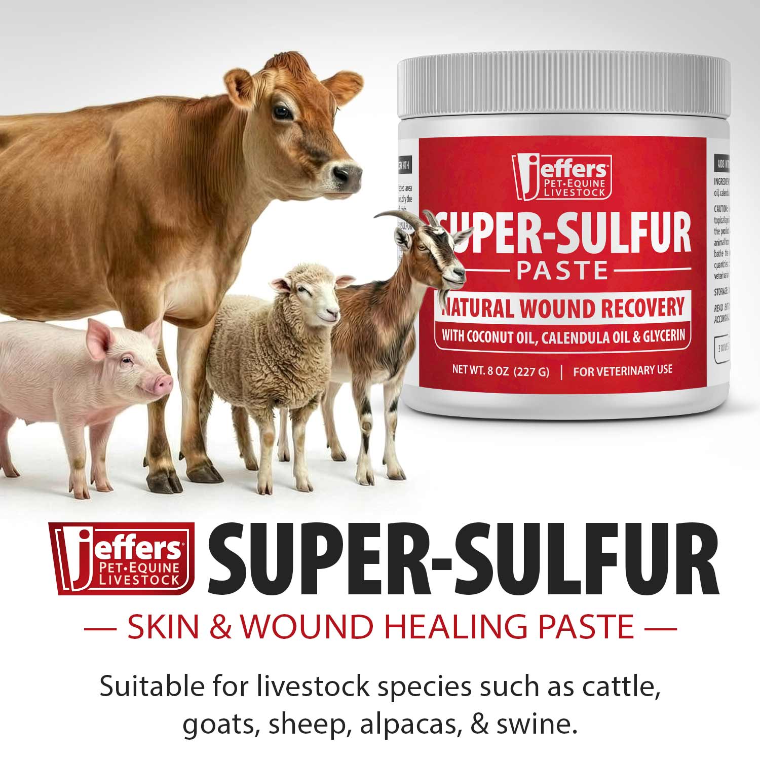 Jeffers Super-Sulfur Skin &amp; Wound Healing Paste for Pets, Horses, &amp; Livestock